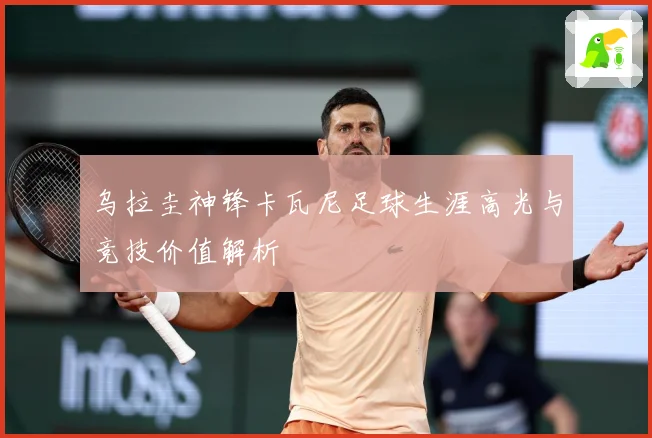 乌拉圭神锋卡瓦尼足球生涯高光与竞技价值解析
